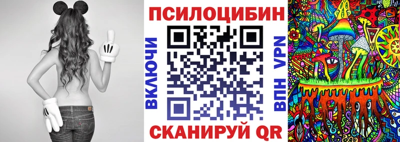 Псилоцибиновые грибы Cubensis  Купить закладки  Светогорск 